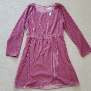 J.Crew pink velvet dress